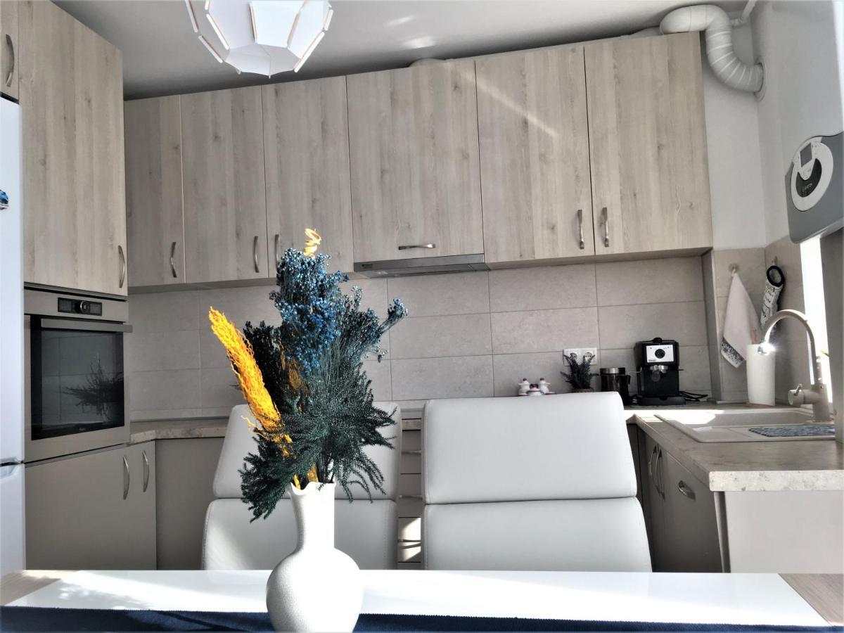 Luxury Mountain View Apartment Брашов Экстерьер фото